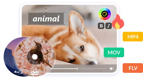 Tipard DVD Creator 5.3.10